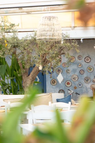 Courtyard tables under the olive tree